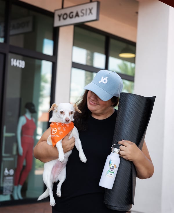 The Social Side of Self-Care: Why Community Matters for You and Your Dog